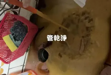 龍頭噴出西米露跟醬油.. 新竹 武陵路 水管清洗 (管乾淨)
